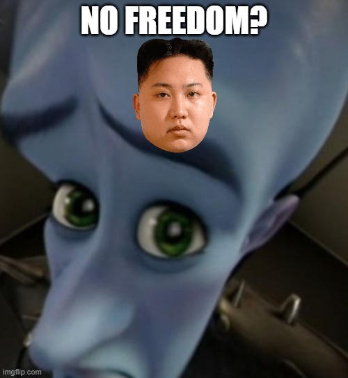 Megamind no bitches | NO FREEDOM? | image tagged in megamind no bitches | made w/ Imgflip meme maker
