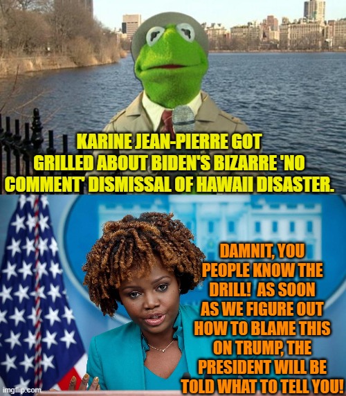 It's as inevitable as death and taxes and Dems being Socialistic. | KARINE JEAN-PIERRE GOT GRILLED ABOUT BIDEN'S BIZARRE 'NO COMMENT' DISMISSAL OF HAWAII DISASTER. DAMNIT, YOU PEOPLE KNOW THE DRILL!  AS SOON AS WE FIGURE OUT HOW TO BLAME THIS ON TRUMP, THE PRESIDENT WILL BE TOLD WHAT TO TELL YOU! | image tagged in kermit news report | made w/ Imgflip meme maker