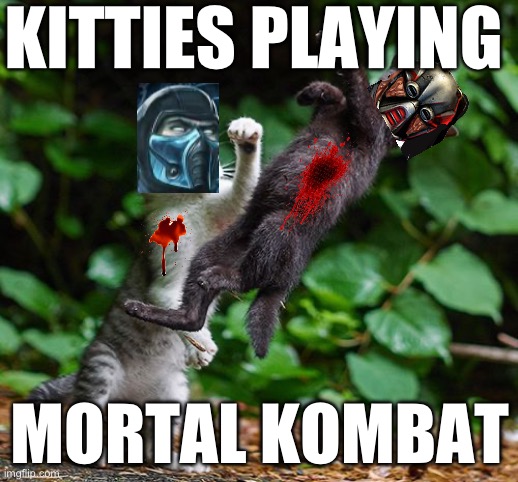Mortal Kombat | KITTIES PLAYING; MORTAL KOMBAT | image tagged in mortal kombat | made w/ Imgflip meme maker