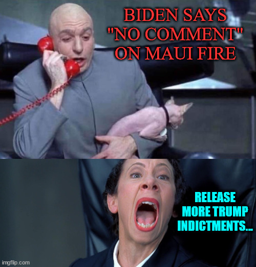 Dr Evil and Frau | BIDEN SAYS "NO COMMENT" ON MAUI FIRE RELEASE MORE TRUMP INDICTMENTS... | image tagged in dr evil and frau | made w/ Imgflip meme maker