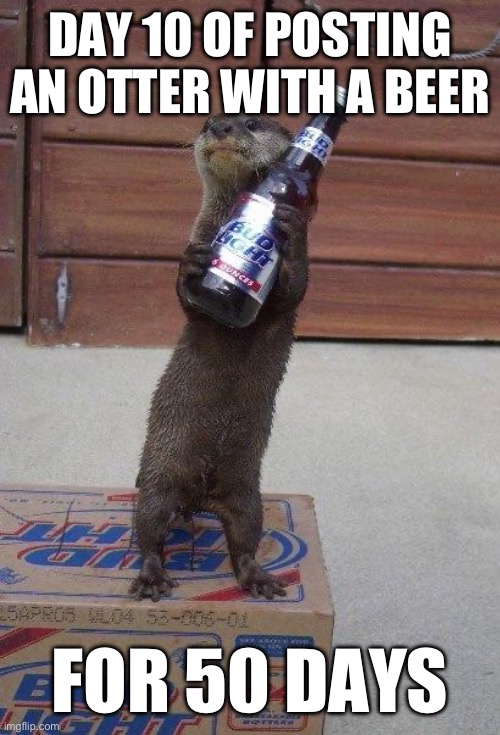 Day ten of posting an otter with a beer for 50 days | DAY 10 OF POSTING AN OTTER WITH A BEER; FOR 50 DAYS | image tagged in beer otter,otters,memes,funny,funny memes,animals | made w/ Imgflip meme maker