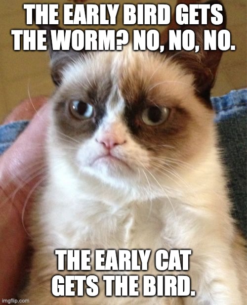 *licks lips* | THE EARLY BIRD GETS THE WORM? NO, NO, NO. THE EARLY CAT GETS THE BIRD. | image tagged in memes,grumpy cat,funny,early bird,cats | made w/ Imgflip meme maker