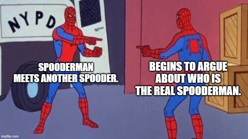 Spooderman | BEGINS TO ARGUE ABOUT WHO IS THE REAL SPOODERMAN. SPOODERMAN MEETS ANOTHER SPOODER. | image tagged in spiderman pointing at spiderman | made w/ Imgflip meme maker