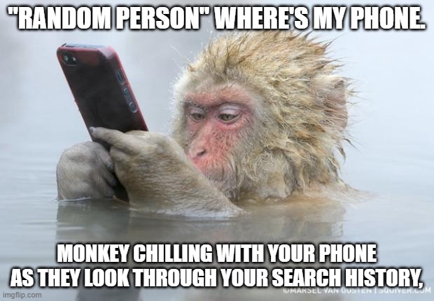 Wheres my Phone Monkey | "RANDOM PERSON" WHERE'S MY PHONE. MONKEY CHILLING WITH YOUR PHONE AS THEY LOOK THROUGH YOUR SEARCH HISTORY, | image tagged in monkey mobile phone | made w/ Imgflip meme maker
