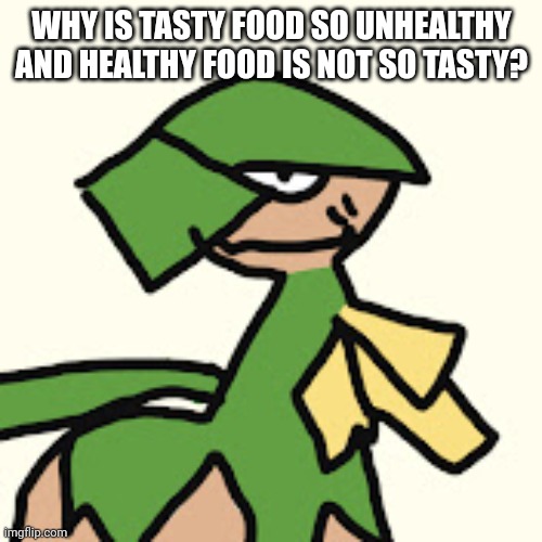 RoyalMelon | WHY IS TASTY FOOD SO UNHEALTHY AND HEALTHY FOOD IS NOT SO TASTY? | image tagged in royalmelon | made w/ Imgflip meme maker