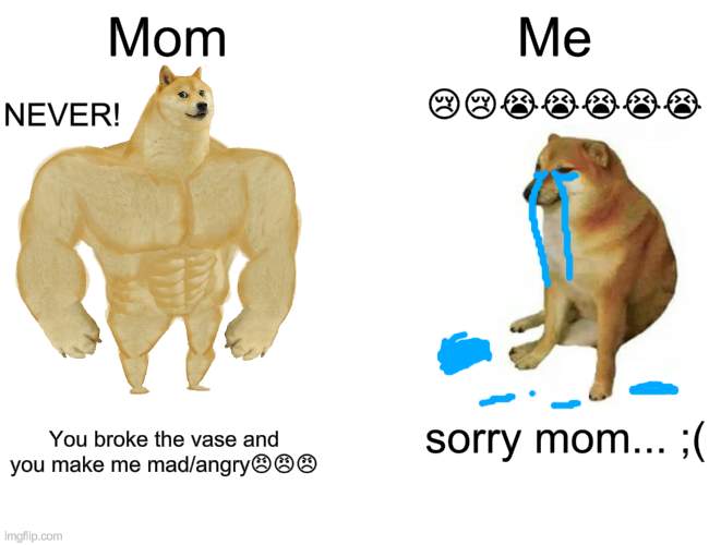 begging/sorrying to mom be like | Mom; Me; 😢😢😭😭😭😭😭; NEVER! sorry mom... ;(; You broke the vase and you make me mad/angry😠😠😠 | image tagged in memes,buff doge vs cheems,beg,begging | made w/ Imgflip meme maker