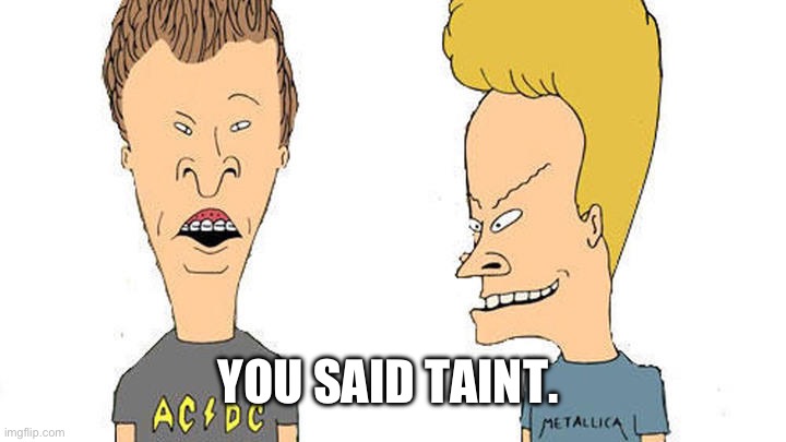 Beavis & Butthead | YOU SAID TAINT. | image tagged in beavis butthead | made w/ Imgflip meme maker