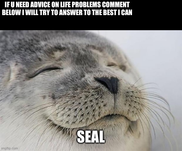 (owner note: not what i expected but ok!) | IF U NEED ADVICE ON LIFE PROBLEMS COMMENT BELOW I WILL TRY TO ANSWER TO THE BEST I CAN; SEAL | image tagged in memes,satisfied seal | made w/ Imgflip meme maker