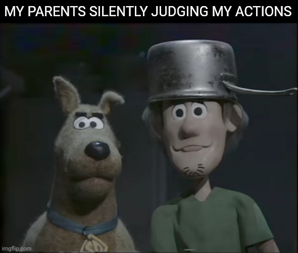 Those stares hurt more than words | MY PARENTS SILENTLY JUDGING MY ACTIONS | image tagged in shaggy and scooby,scooby doo,memes | made w/ Imgflip meme maker