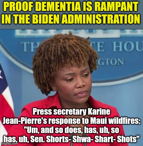 Dementia must be transmitted through the air or something? | PROOF DEMENTIA IS RAMPANT IN THE BIDEN ADMINISTRATION; Press secretary Karine Jean-Pierre's response to Maui wildfires: "Um, and so does, has, uh, so has, uh, Sen. Shorts- Shwa- Shart- Shots" | image tagged in karine jean-pierre,democrats,dementia,seriously,white house,press conference | made w/ Imgflip meme maker