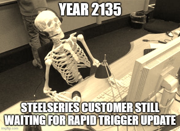 Waiting Skeleton PC | YEAR 2135; STEELSERIES CUSTOMER STILL WAITING FOR RAPID TRIGGER UPDATE | image tagged in waiting skeleton pc | made w/ Imgflip meme maker