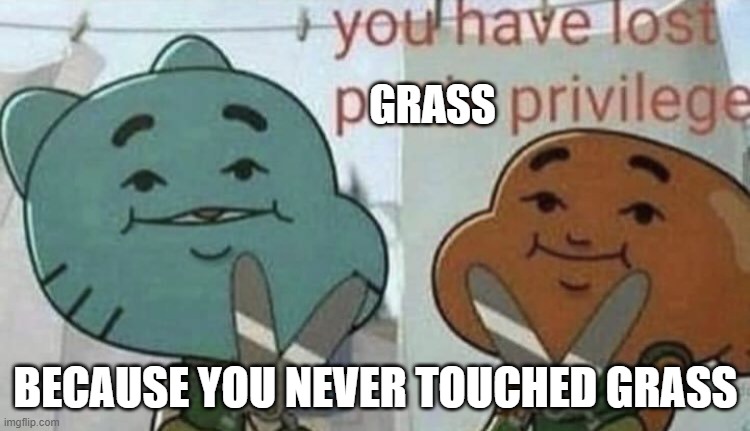 you have lost grass privilege | GRASS; BECAUSE YOU NEVER TOUCHED GRASS | image tagged in you have lost p nis privilege | made w/ Imgflip meme maker