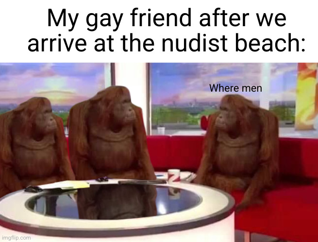 huh where's the dongs | My gay friend after we arrive at the nudist beach:; Where men | image tagged in where monkey,gay people,gay,funny,woah hey pal lets back it up a bit,uh oh | made w/ Imgflip meme maker