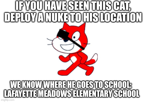 Find him and kill him | IF YOU HAVE SEEN THIS CAT, DEPLOY A NUKE TO HIS LOCATION; WE KNOW WHERE HE GOES TO SCHOOL: 
LAFAYETTE MEADOWS ELEMENTARY SCHOOL | image tagged in blank white template,scratch | made w/ Imgflip meme maker