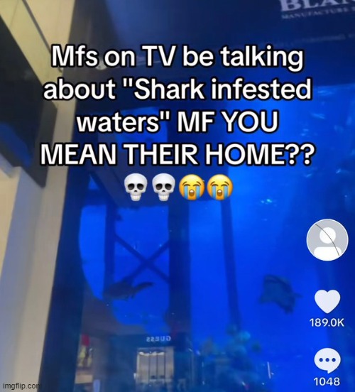 shark infested waters | made w/ Imgflip meme maker