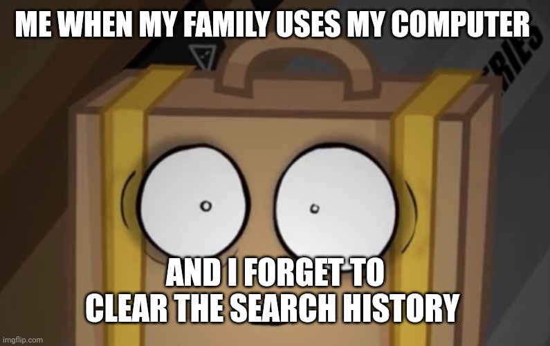 Meme | ME WHEN MY FAMILY USES MY COMPUTER; AND I FORGET TO CLEAR THE SEARCH HISTORY | image tagged in suitcase | made w/ Imgflip meme maker
