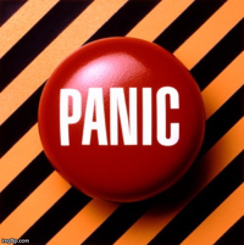 Panic Button | image tagged in panic button | made w/ Imgflip meme maker