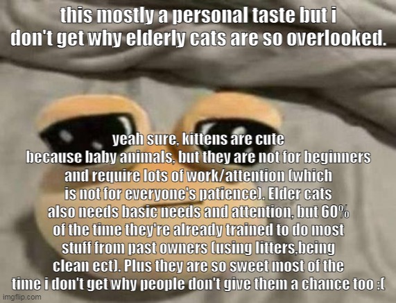 pou | this mostly a personal taste but i don't get why elderly cats are so overlooked. yeah sure, kittens are cute because baby animals, but they are not for beginners and require lots of work/attention (which is not for everyone's patience). Elder cats also needs basic needs and attention, but 60% of the time they're already trained to do most stuff from past owners (using litters,being clean ect). Plus they are so sweet most of the time i don't get why people don't give them a chance too :( | image tagged in pou | made w/ Imgflip meme maker