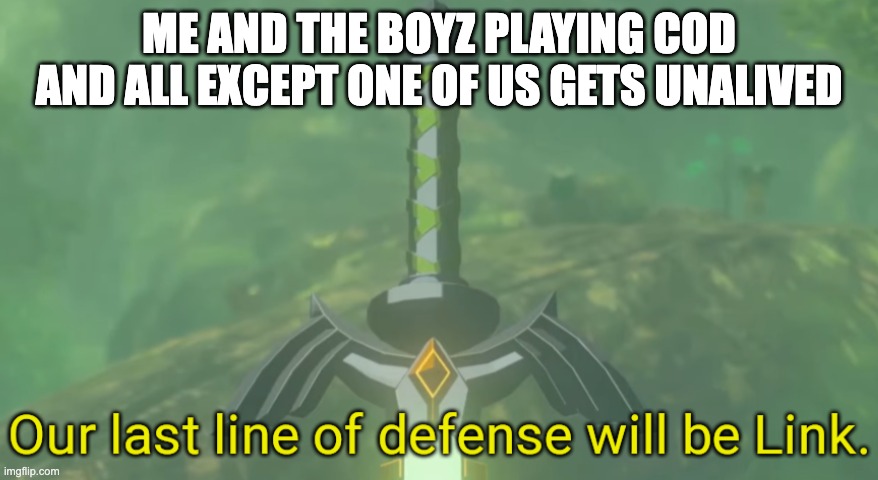Our last line of defense will be Link. | ME AND THE BOYZ PLAYING COD AND ALL EXCEPT ONE OF US GETS UNALIVED | image tagged in our last line of defense will be link | made w/ Imgflip meme maker