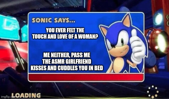 I ain't losing my virginity because I hate to lose | YOU EVER FELT THE TOUCH AND LOVE OF A WOMAN? ME NEITHER, PASS ME THE ASMR GIRLFRIEND KISSES AND CUDDLES YOU IN BED | image tagged in sonic says,relatable | made w/ Imgflip meme maker
