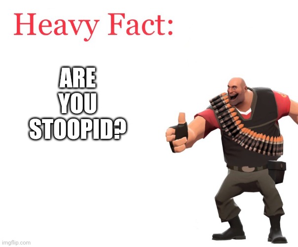 Heavy Fact | ARE YOU STOOPID? | image tagged in heavy fact | made w/ Imgflip meme maker