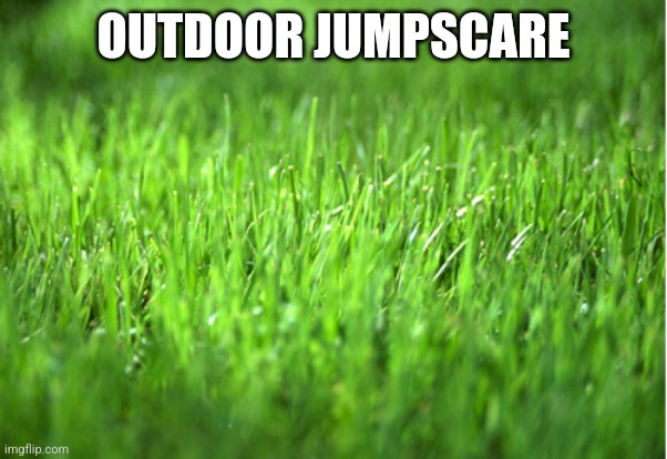 grass is greener | OUTDOOR JUMPSCARE | image tagged in grass is greener | made w/ Imgflip meme maker