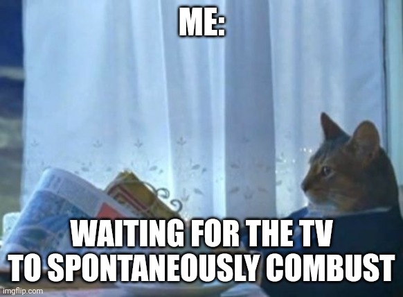 When is the TV going to catch on fire | ME:; WAITING FOR THE TV TO SPONTANEOUSLY COMBUST | image tagged in memes,i should buy a boat cat | made w/ Imgflip meme maker