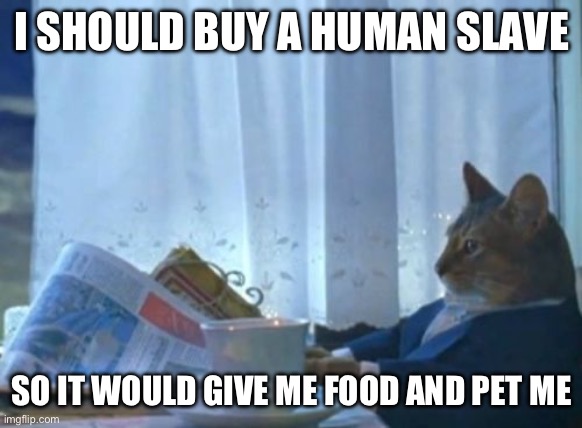 Cats are always like this | I SHOULD BUY A HUMAN SLAVE; SO IT WOULD GIVE ME FOOD AND PET ME | image tagged in memes,i should buy a boat cat | made w/ Imgflip meme maker