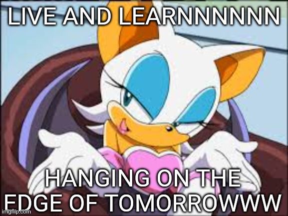 Rouge the Bat | LIVE AND LEARNNNNNN; HANGING ON THE EDGE OF TOMORROWWW | image tagged in rouge the bat | made w/ Imgflip meme maker