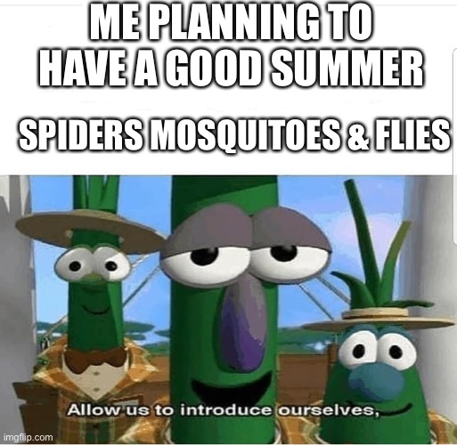 Allow us to introduce ourselves | ME PLANNING TO HAVE A GOOD SUMMER; SPIDERS MOSQUITOES & FLIES | image tagged in allow us to introduce ourselves | made w/ Imgflip meme maker