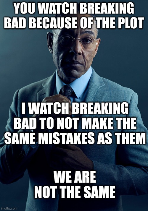 title here | YOU WATCH BREAKING BAD BECAUSE OF THE PLOT; I WATCH BREAKING BAD TO NOT MAKE THE SAME MISTAKES AS THEM; WE ARE NOT THE SAME | image tagged in gus fring we are not the same | made w/ Imgflip meme maker