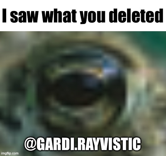 Image in the comments | @GARDI.RAYVISTIC | image tagged in i saw what you deleted | made w/ Imgflip meme maker