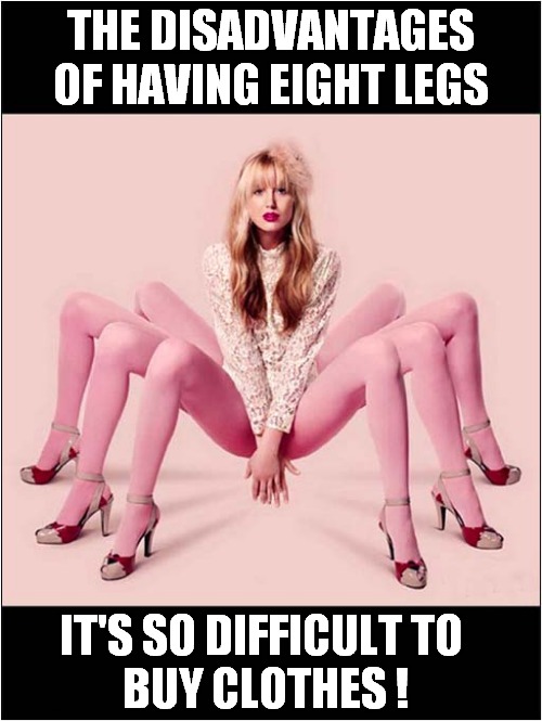 Problems, Problems ! | THE DISADVANTAGES OF HAVING EIGHT LEGS; IT'S SO DIFFICULT TO 
BUY CLOTHES ! | image tagged in eight legs,clothing,problems | made w/ Imgflip meme maker
