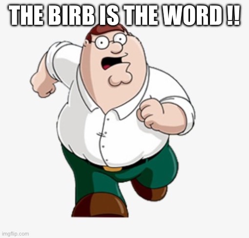 Peter Griffin worst mistake of my life | THE BIRB IS THE WORD !! | image tagged in peter griffin worst mistake of my life | made w/ Imgflip meme maker