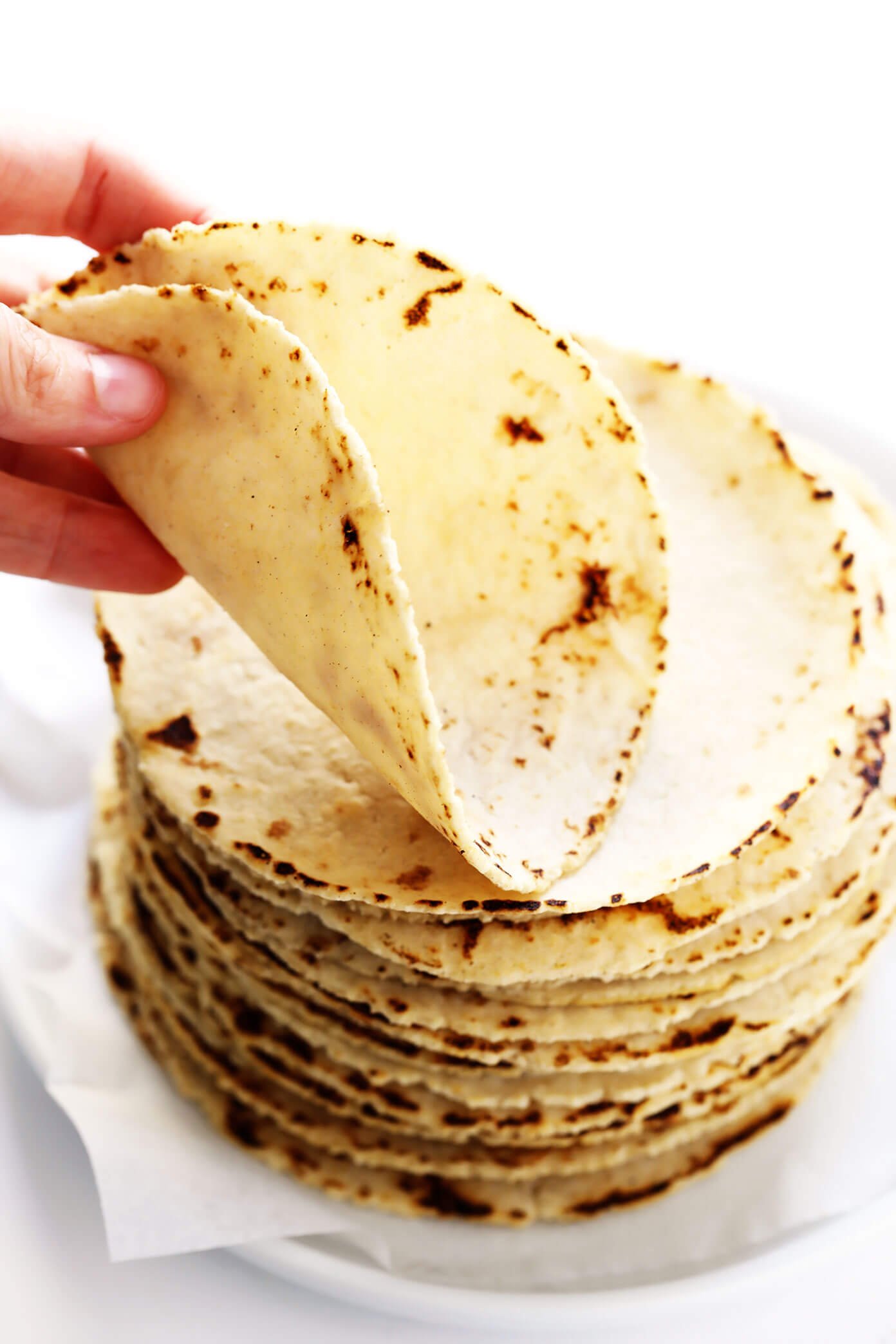 Tortilla Blank Meme Template