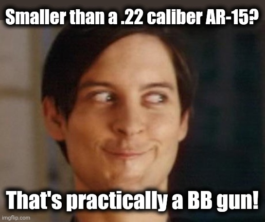 Spiderman Peter Parker Meme | Smaller than a .22 caliber AR-15? That's practically a BB gun! | image tagged in memes,spiderman peter parker | made w/ Imgflip meme maker