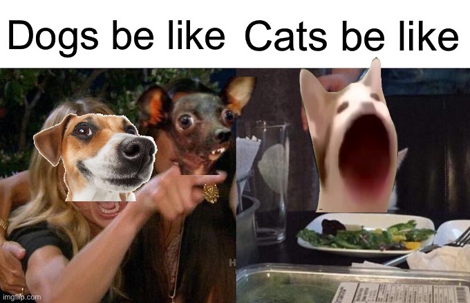Woman Yelling At Cat Meme | Dogs be like; Cats be like | image tagged in memes,woman yelling at cat | made w/ Imgflip meme maker