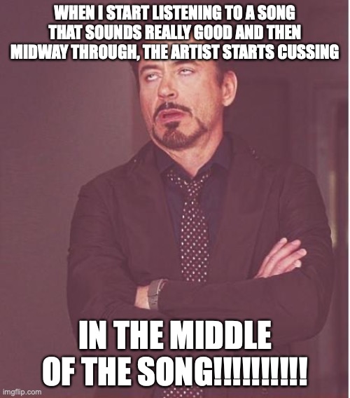 Face You Make Robert Downey Jr | WHEN I START LISTENING TO A SONG THAT SOUNDS REALLY GOOD AND THEN MIDWAY THROUGH, THE ARTIST STARTS CUSSING; IN THE MIDDLE OF THE SONG!!!!!!!!!! | image tagged in memes,face you make robert downey jr | made w/ Imgflip meme maker