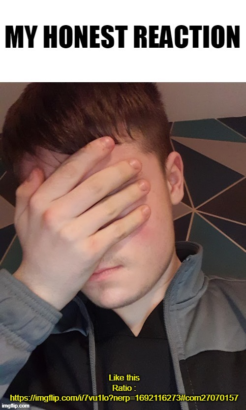 My honest reaction | Like this Ratio : https://imgflip.com/i/7vu1lo?nerp=1692116273#com27070157 | image tagged in my honest reaction | made w/ Imgflip meme maker