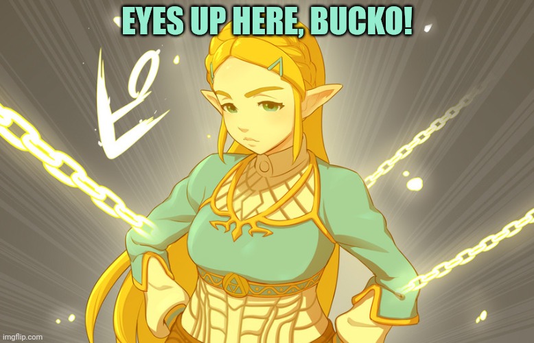 I saw that! | EYES UP HERE, BUCKO! | image tagged in eyes up here,bucko,princess,zelda,stop staring | made w/ Imgflip meme maker