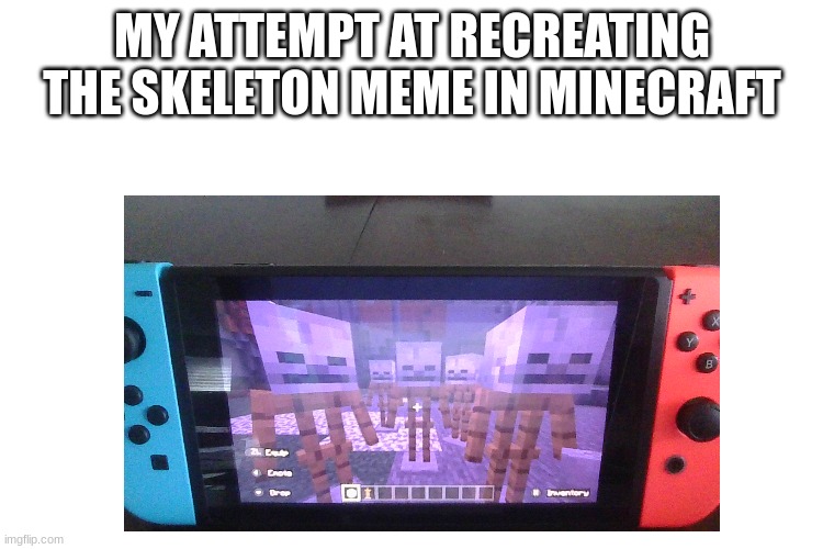 I tried lol | MY ATTEMPT AT RECREATING THE SKELETON MEME IN MINECRAFT | image tagged in minecraft,skeletons,gaming,nintendo switch | made w/ Imgflip meme maker