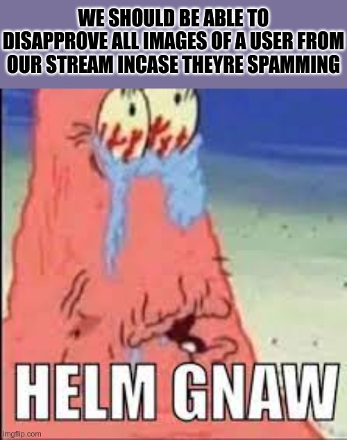 HELM GNAW | WE SHOULD BE ABLE TO DISAPPROVE ALL IMAGES OF A USER FROM OUR STREAM INCASE THEYRE SPAMMING | image tagged in helm gnaw | made w/ Imgflip meme maker