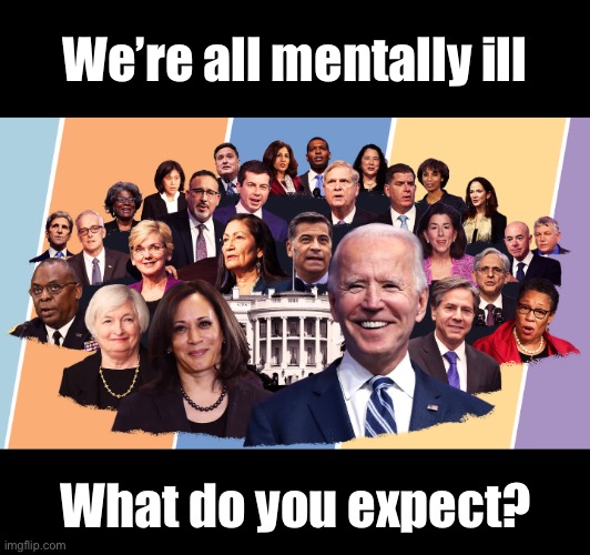 Biden's cabinet | We’re all mentally ill What do you expect? | image tagged in biden's cabinet | made w/ Imgflip meme maker