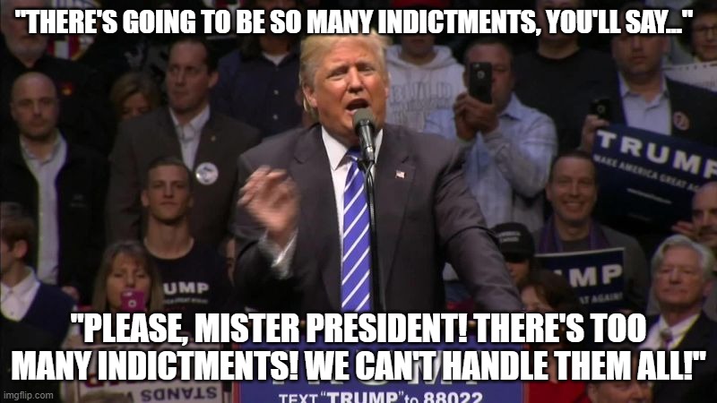 "THERE'S GOING TO BE SO MANY INDICTMENTS, YOU'LL SAY..."; "PLEASE, MISTER PRESIDENT! THERE'S TOO MANY INDICTMENTS! WE CAN'T HANDLE THEM ALL!" | image tagged in donald trump,campaign speech | made w/ Imgflip meme maker