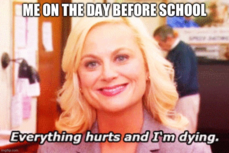 My school starts tomorrow | ME ON THE DAY BEFORE SCHOOL | image tagged in everything hurts | made w/ Imgflip meme maker