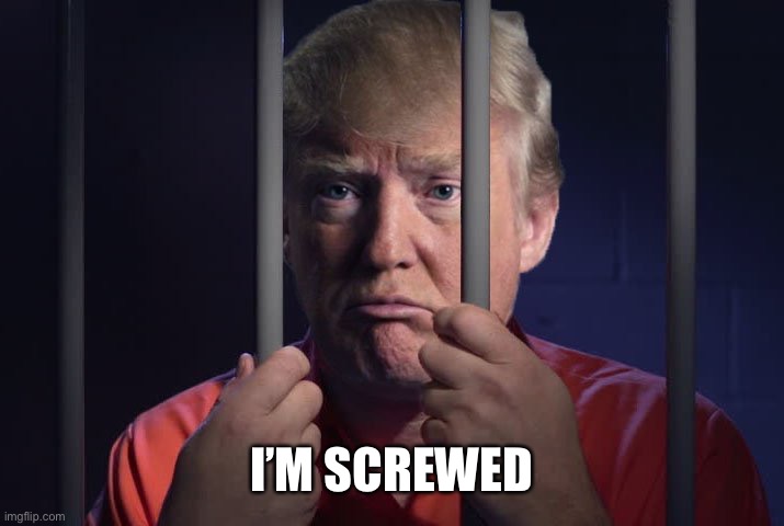 Trump in jail  | I’M SCREWED | image tagged in trump in jail | made w/ Imgflip meme maker