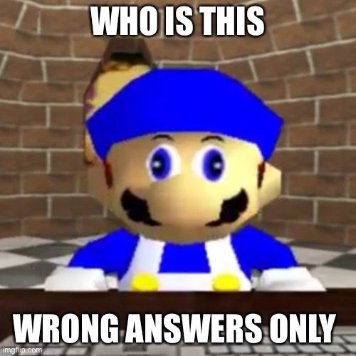 Smg4 derp | WHO IS THIS; WRONG ANSWERS ONLY | image tagged in smg4 derp | made w/ Imgflip meme maker
