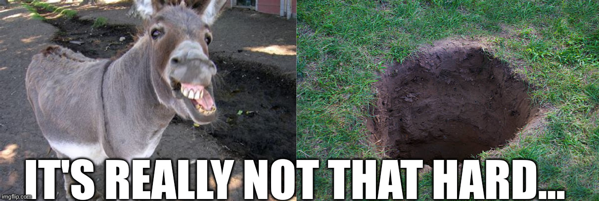 Hole ass | IT'S REALLY NOT THAT HARD... | image tagged in ass,hole in ground | made w/ Imgflip meme maker