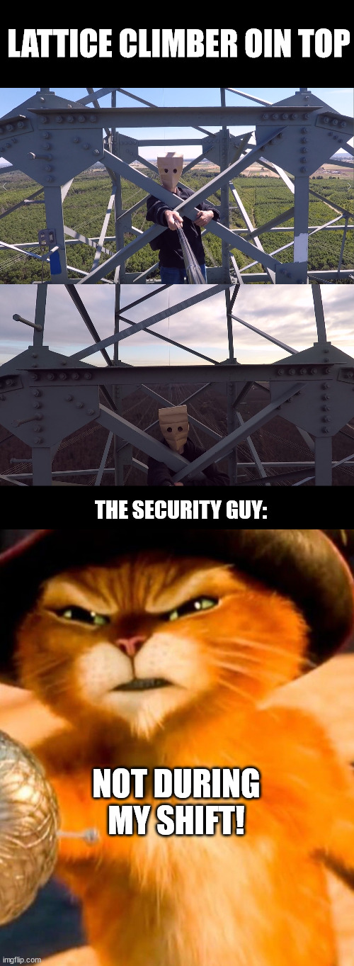 Puss In Boots meme | LATTICE CLIMBER OIN TOP; THE SECURITY GUY:; NOT DURING MY SHIFT! | image tagged in latticeclimbing,pussinboots,humor,germany | made w/ Imgflip meme maker