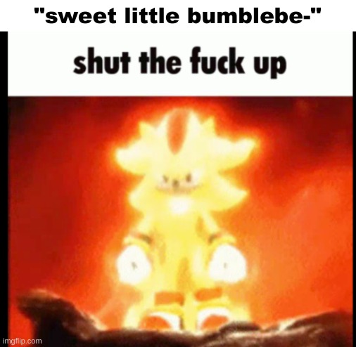 mid ass "song" | "sweet little bumblebe-" | image tagged in super shadow stfu | made w/ Imgflip meme maker